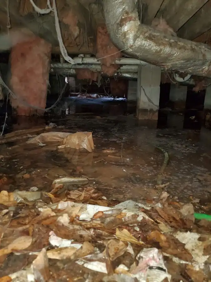 Crawl space flood assessment for Commercial Water Damage Restoration in Palestine