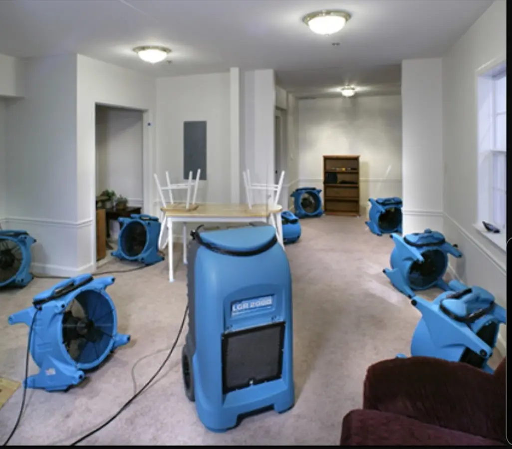 Air movers and dehumidifier setup for Water Extraction & Removal in Palestine