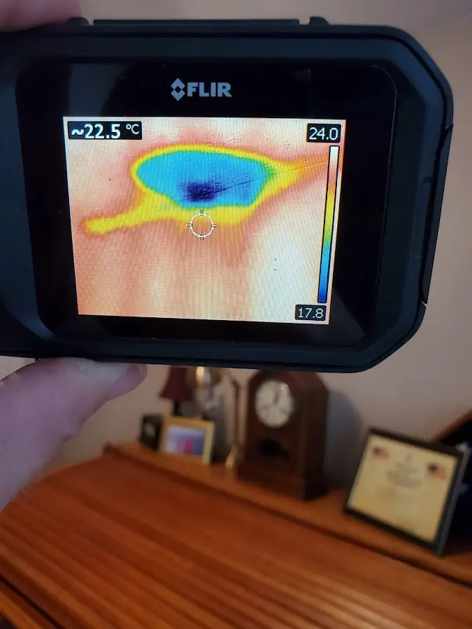 Thermal imaging inspection for water damage in Palestine